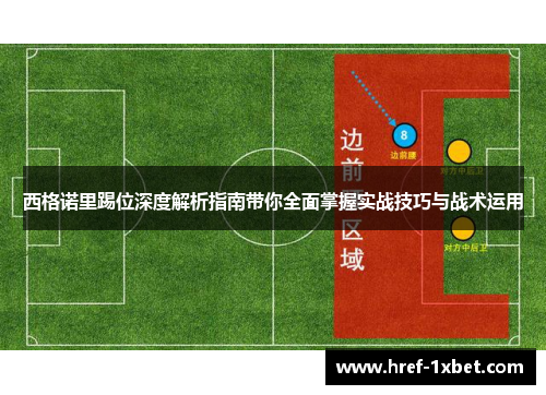 西格诺里踢位深度解析指南带你全面掌握实战技巧与战术运用