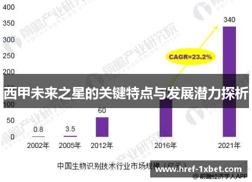 西甲未来之星的关键特点与发展潜力探析