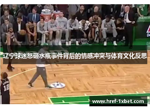辽宁球迷怒砸水瓶事件背后的情感冲突与体育文化反思